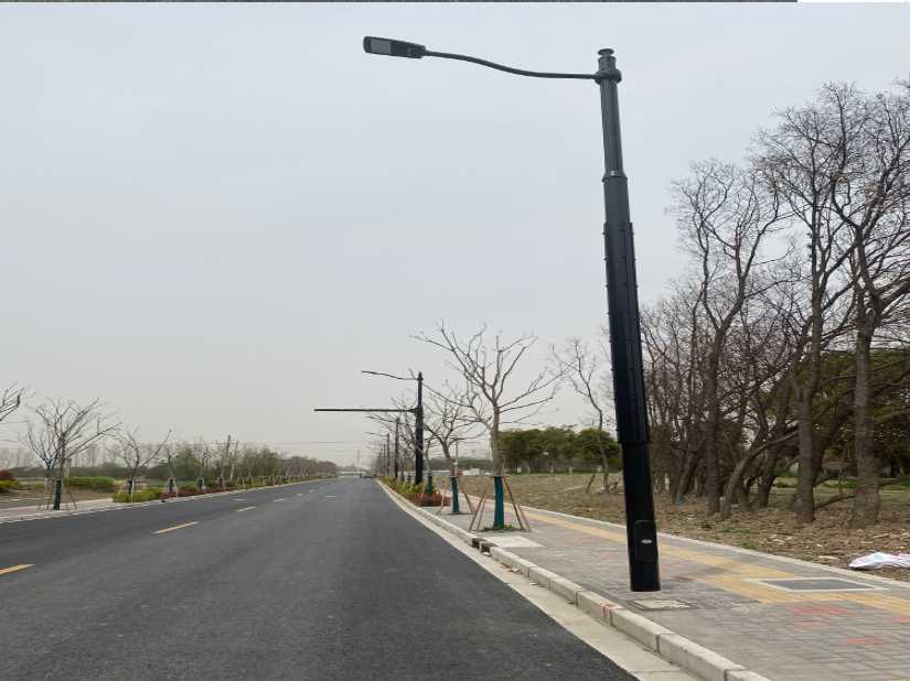 灵山县上海综合杆 太阳能路灯工程